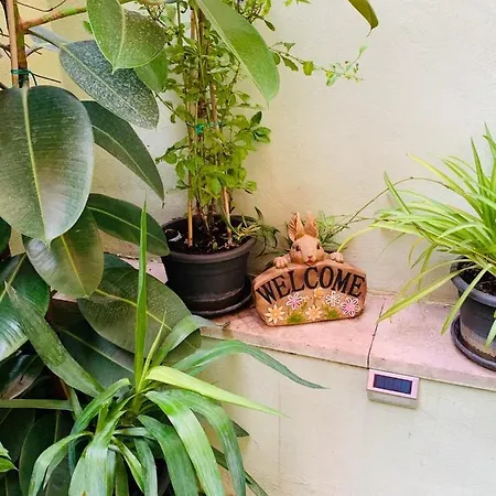 Bed & Breakfast Babyface