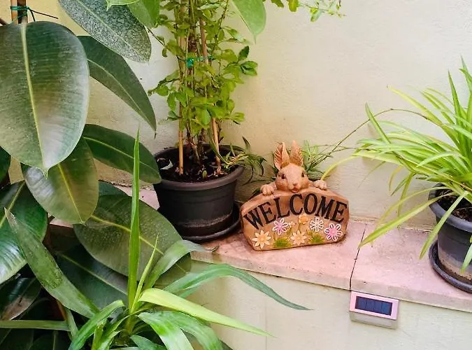 ベッド・アンド・ブレックファスト Babyface